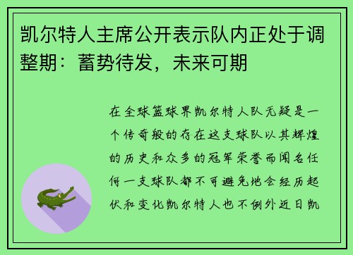 凯尔特人主席公开表示队内正处于调整期：蓄势待发，未来可期